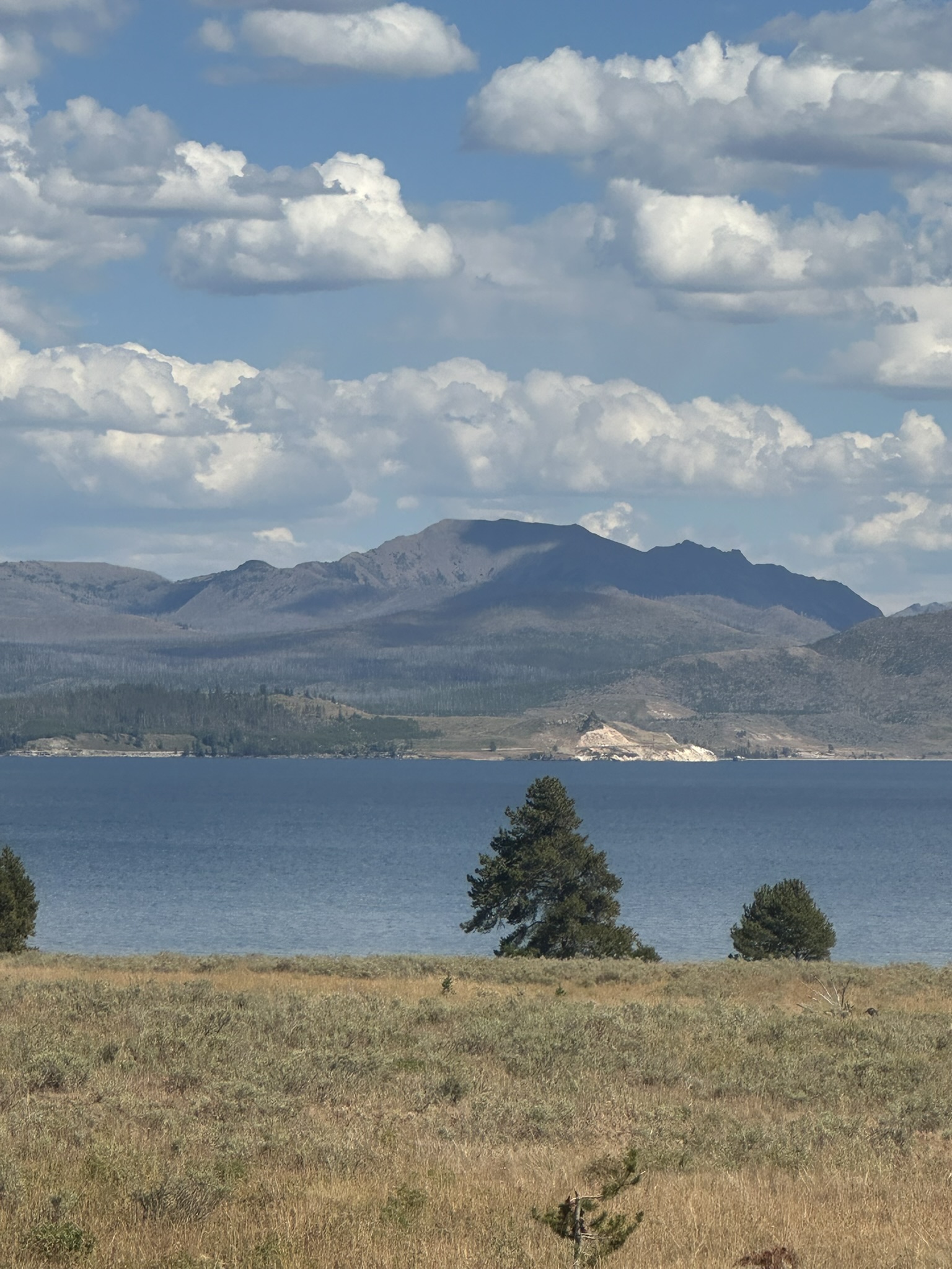Yellowstone And Grand Teton National Parks - Image 1454